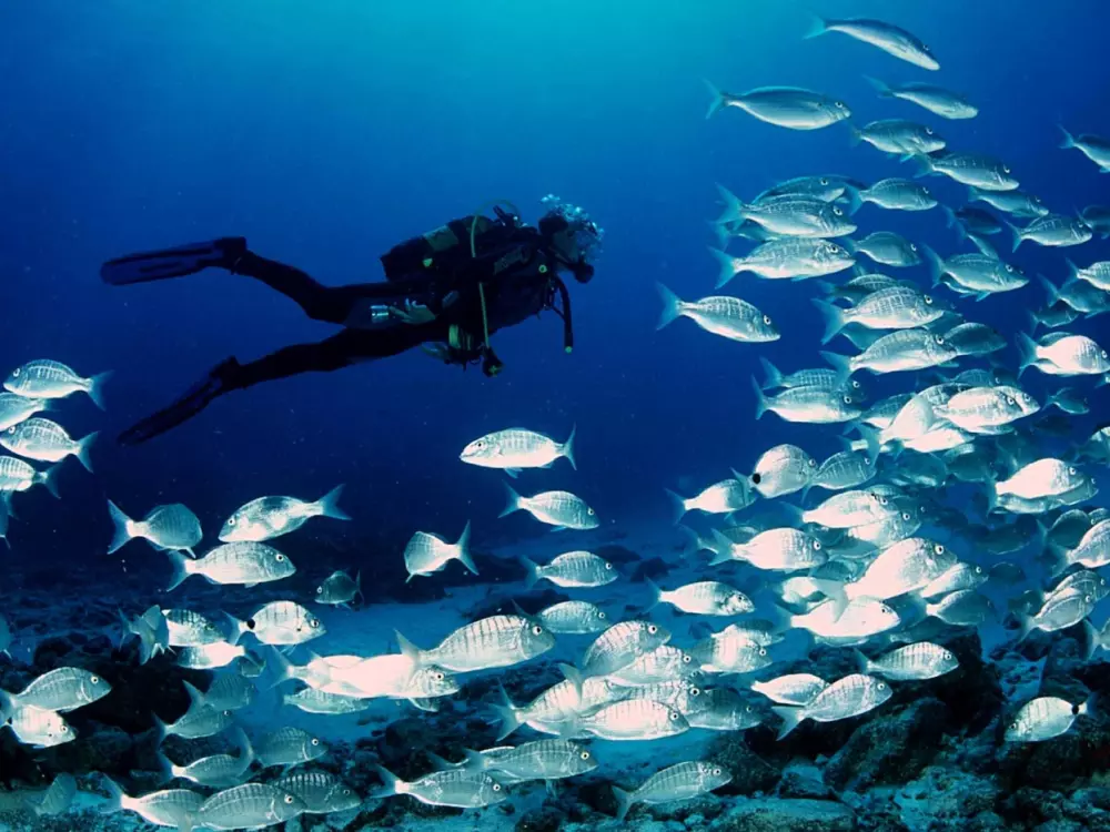 Location de Vacances L'Ametlla de Mar 237