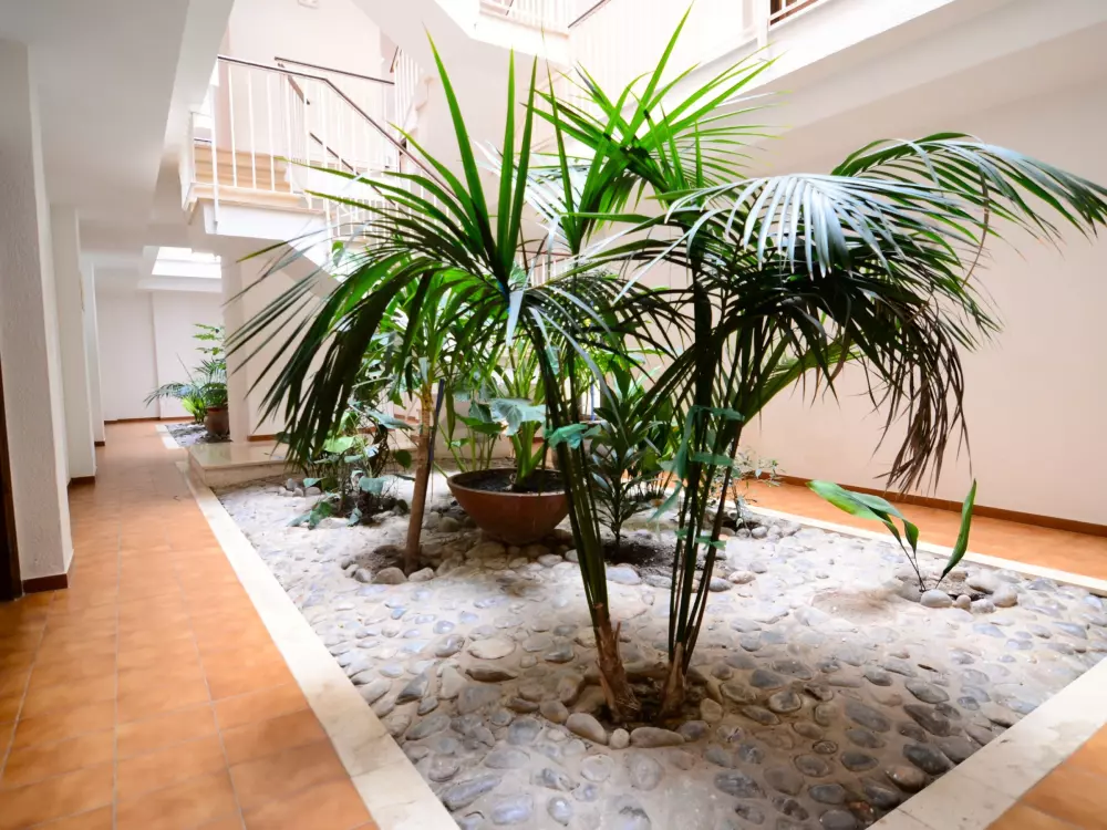 Location de Vacances L'Estartit 295