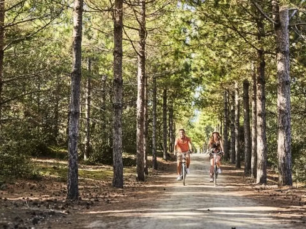 Camping Le Marais Neuf 3 étoiles★★★