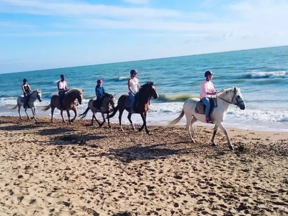 Camping Le Marais Neuf 3 étoiles★★★