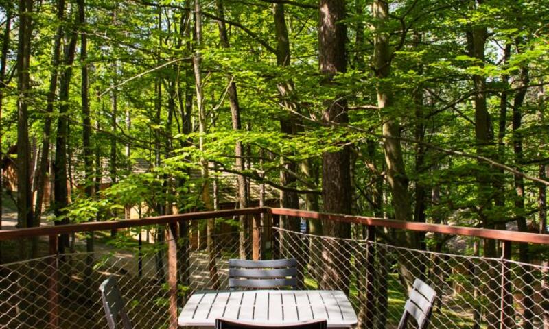 Gîte Cabane insolite dans les cévennes - les sous-bois de la bastide 3 étoiles - - La Bastide-Puylaurent - 18