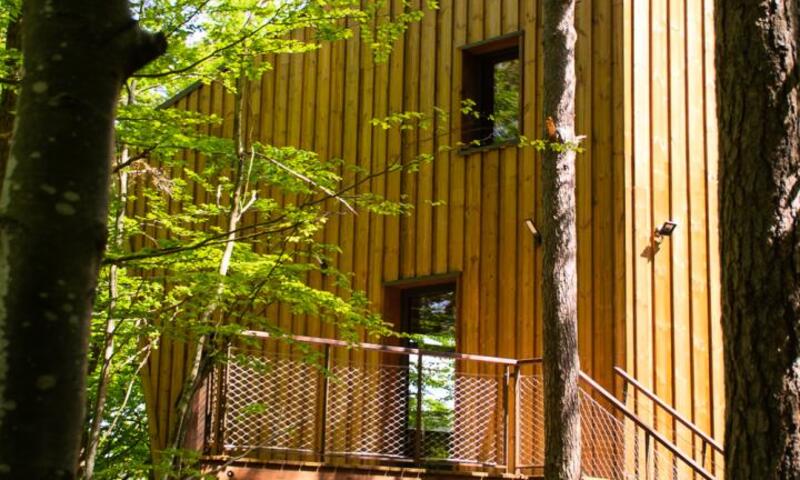 Gîte Cabane insolite dans les cévennes - les sous-bois de la bastide 3 étoiles - - La Bastide-Puylaurent - 4