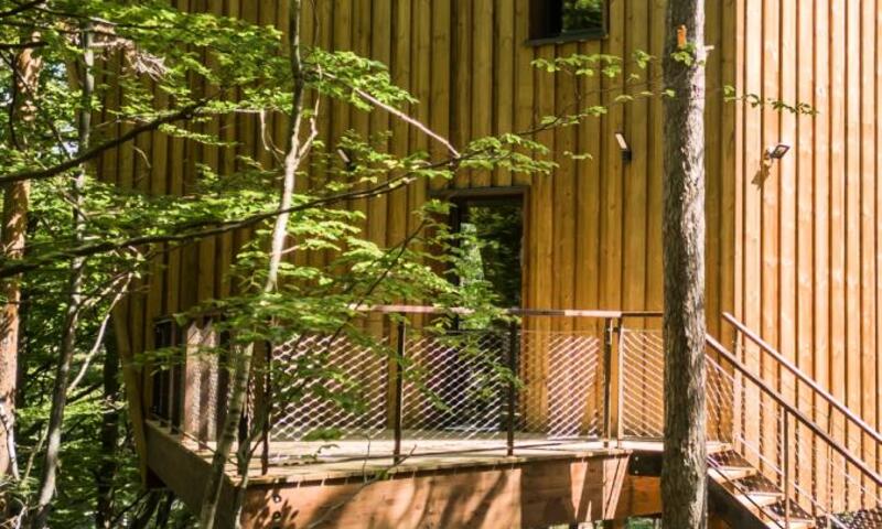 Gîte Cabane insolite dans les cévennes - les sous-bois de la bastide 3 étoiles - - La Bastide-Puylaurent - 16