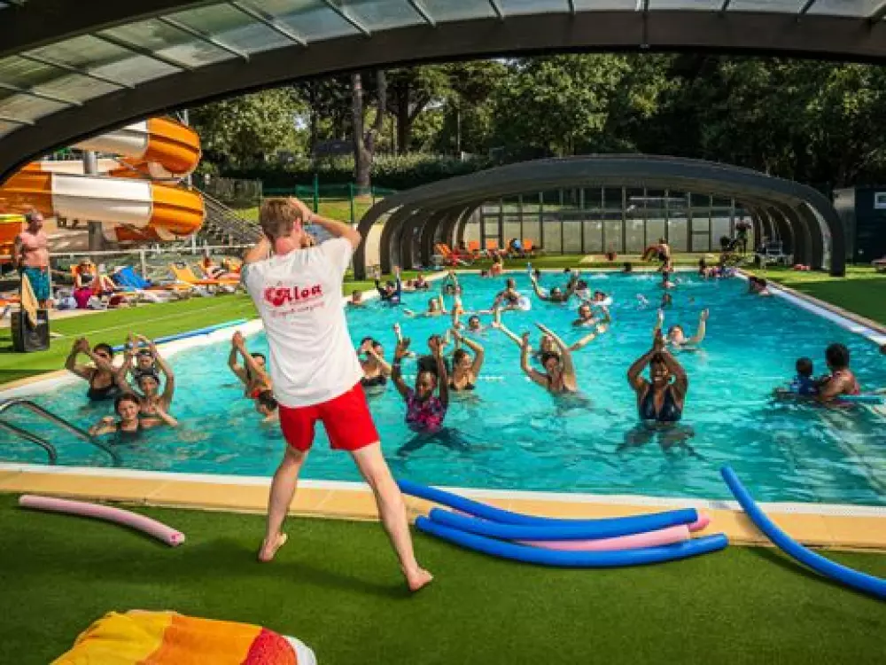 Camping Les Ajoncs D'Or 4 étoiles★★★★