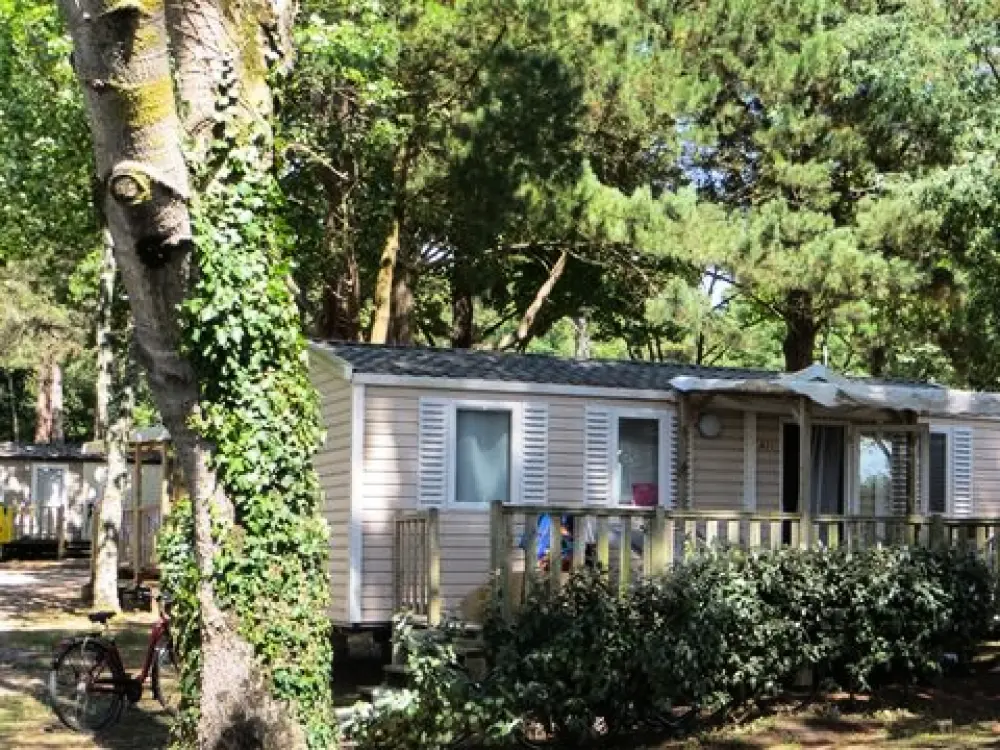 Camping Les Ajoncs D'Or 4 étoiles★★★★