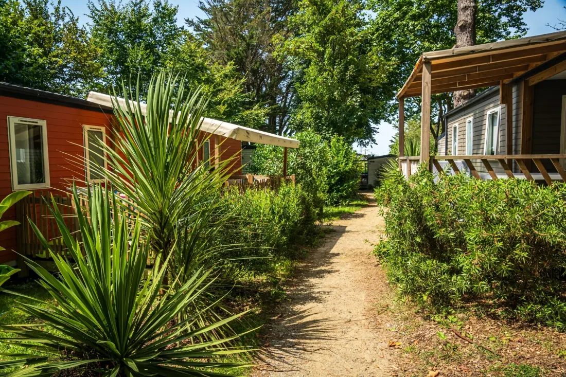 Camping Les Ajoncs d'Or 4 étoiles★★★★