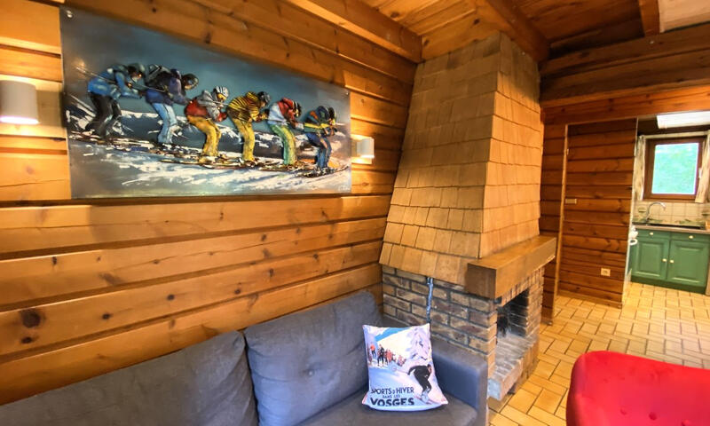 Chalets à La Bresse - - La Bresse - 15