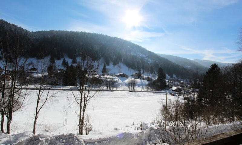 Chalets à La Bresse - - La Bresse - 28