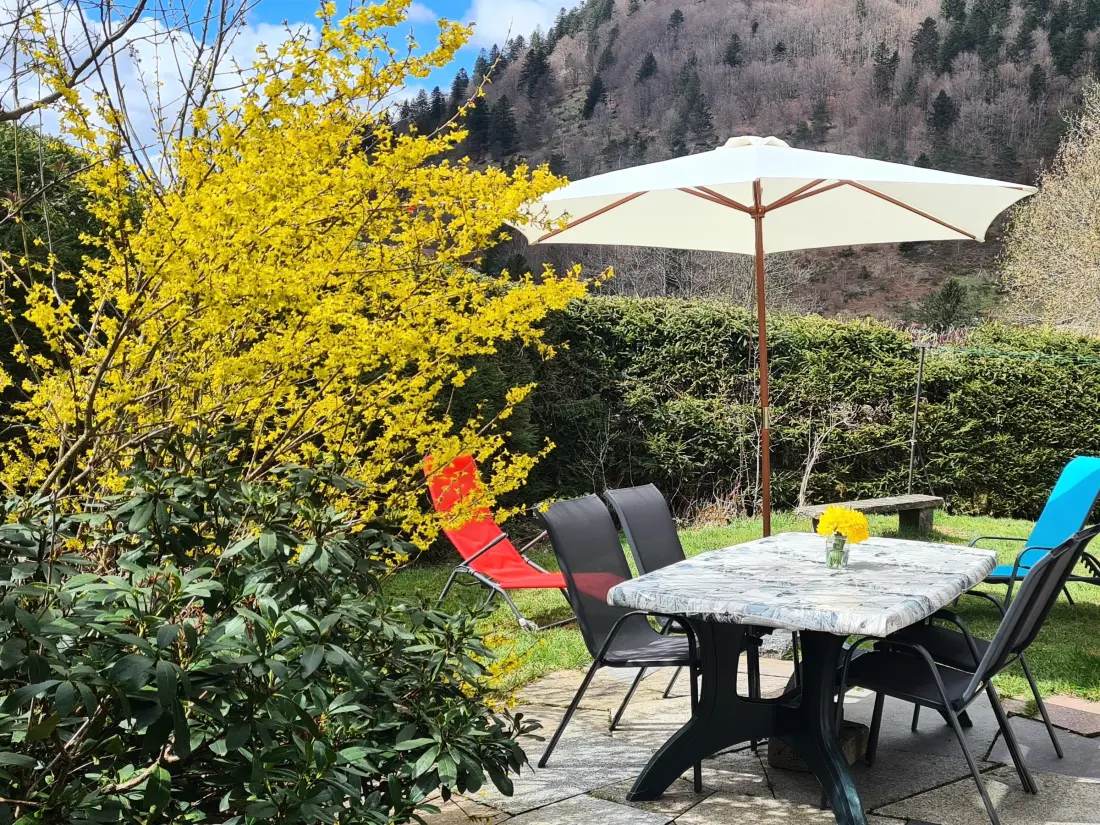 Maison de Vacances La Bresse 14