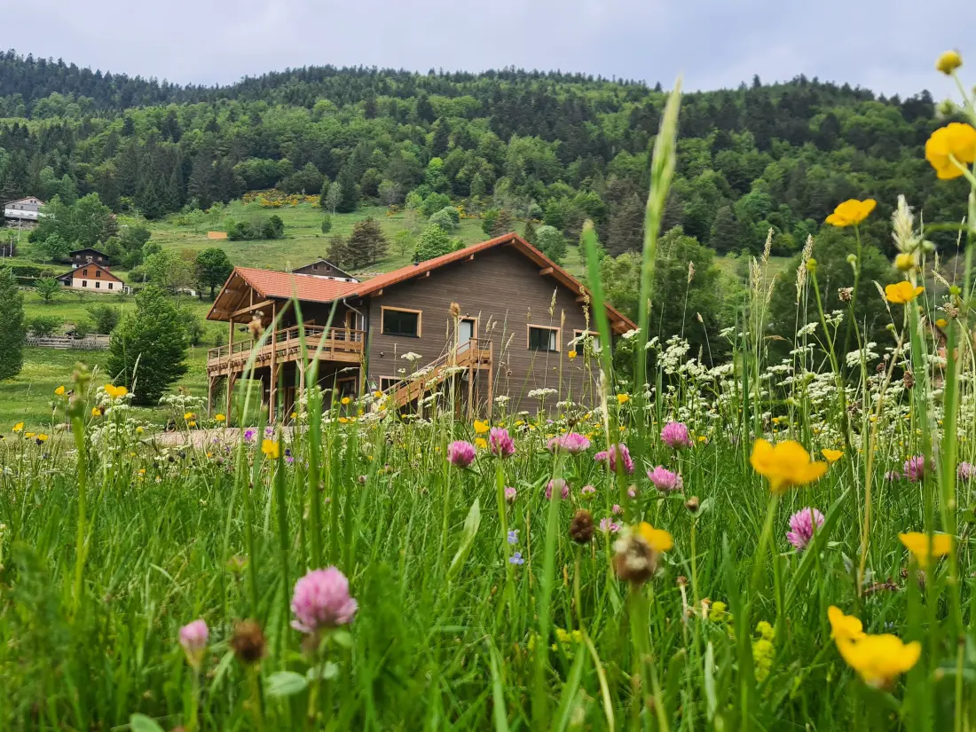 Maison de Vacances La Bresse 20
