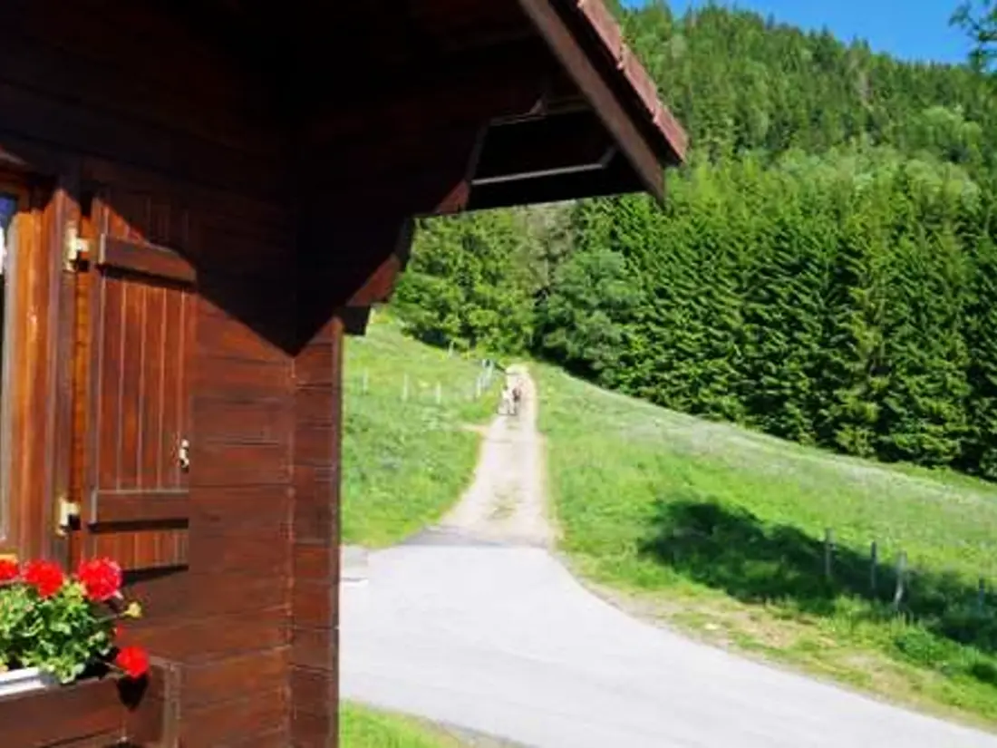 Maison de Vacances La Bresse 24
