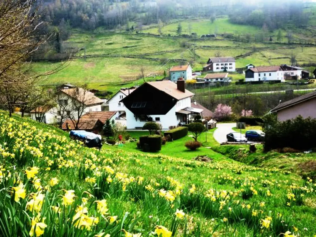 Maison de Vacances La Bresse 7