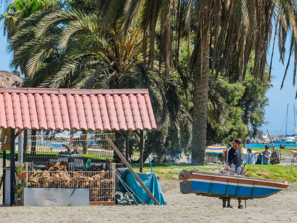 Location de Vacances La Cala del Moral 2