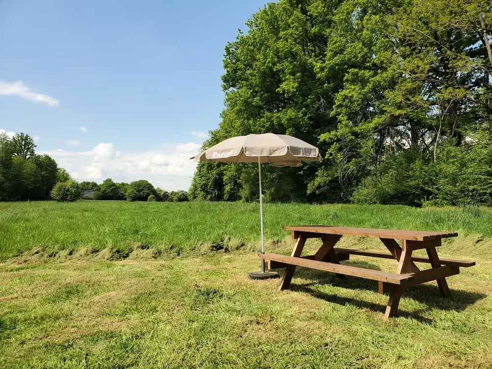 Tiny House : Jardin de Ruban - bordée par les bois - 5