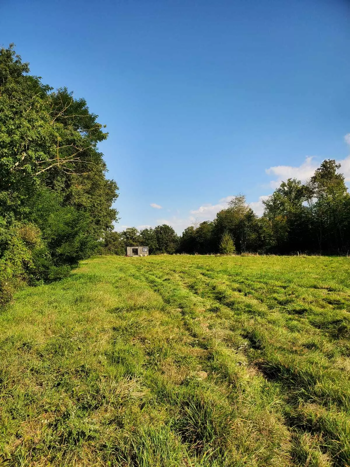 Tiny House : Jardin de Ruban - bordée par les bois - 3