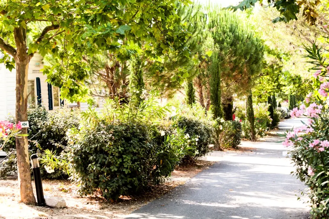 Camping La Baie des Anges