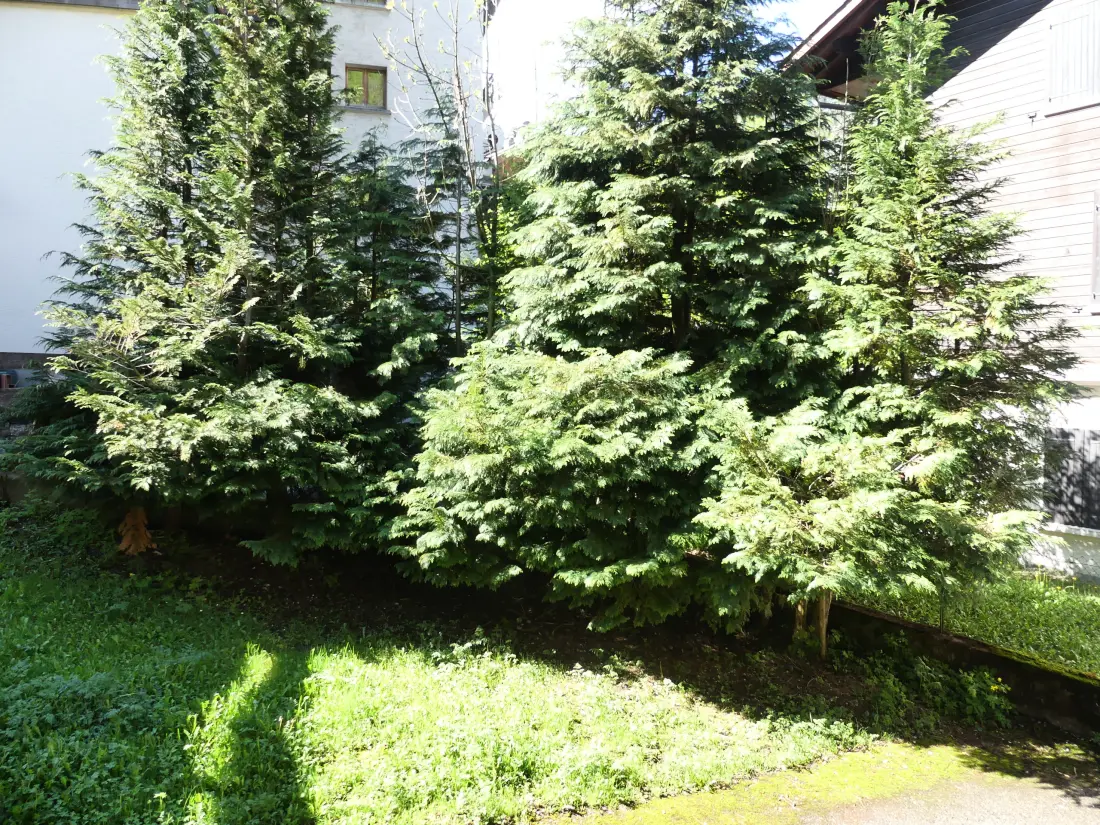 Appartements à La Clusaz