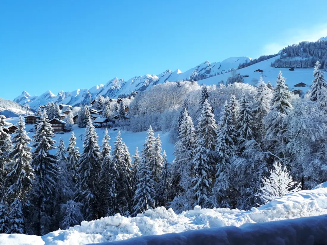 Location de Vacances La Clusaz 371
