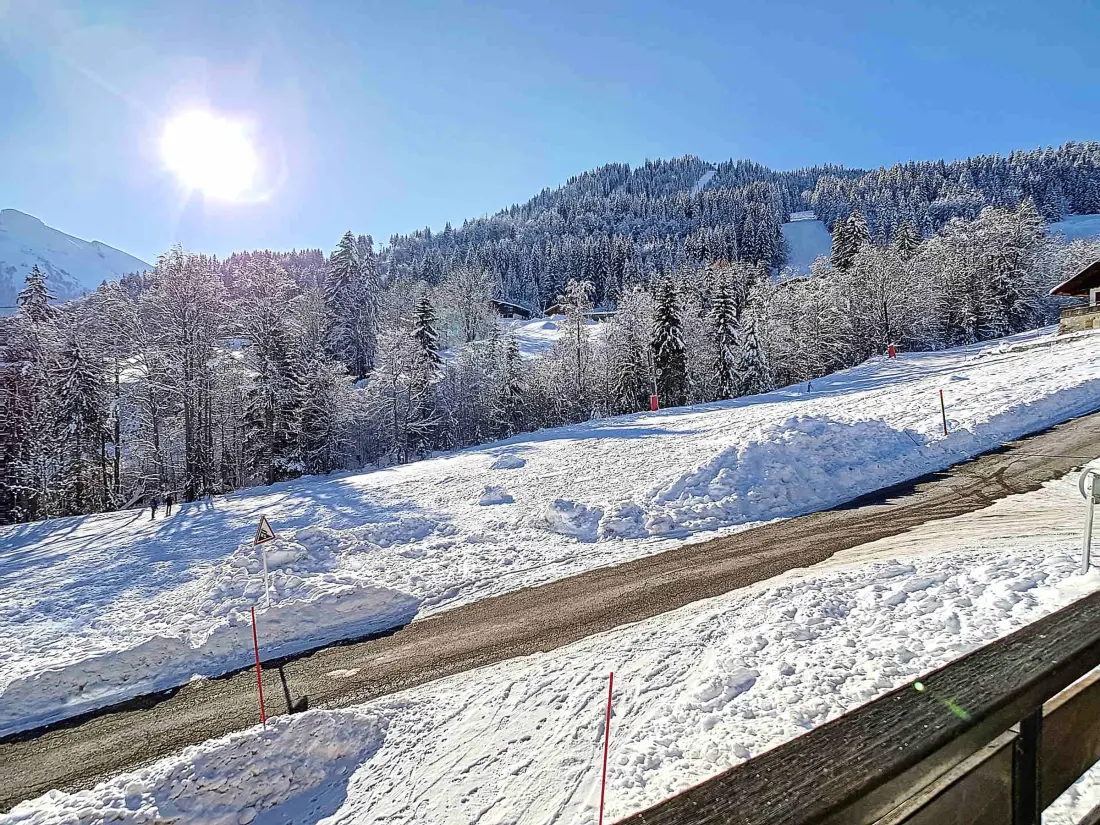 Location de Vacances La Clusaz 579