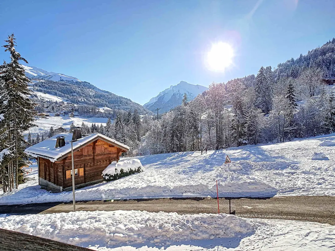 Location de Vacances La Clusaz 579