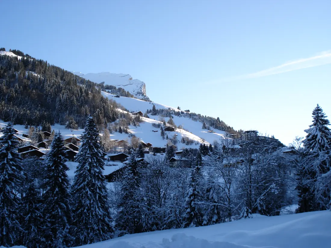 Chalets des Converses - Appartement à la CLUSAZ