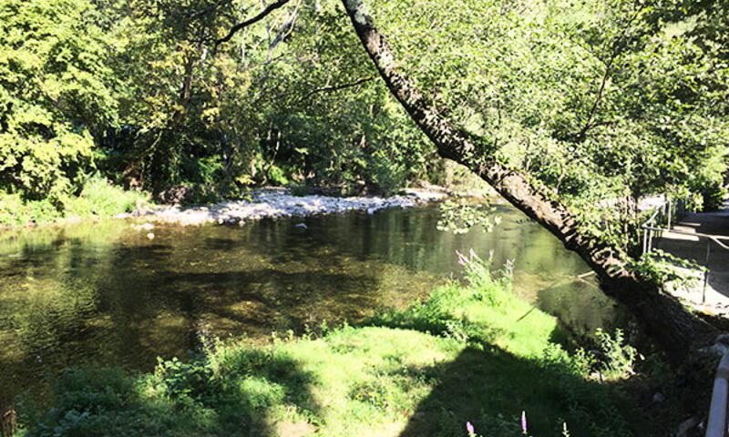 Camping Au Vallon Rouge By TLC Vacances **** - - La Colle-sur-Loup - 2