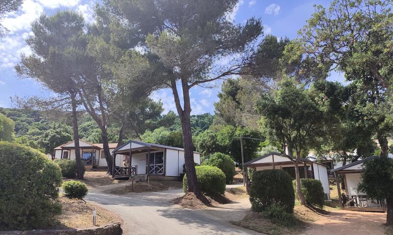 Camping Le Parc Des Chênes *** - La Croix-Valmer - 4