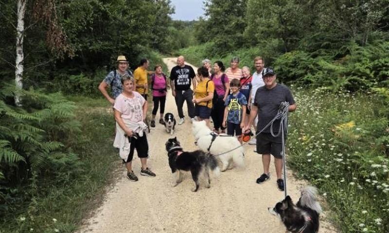 Camping Ushuaïa Villages Le Bois Coquet *** - La Douze - 35