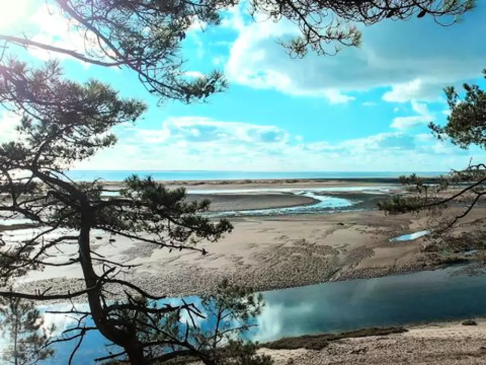 Camping La Siesta  4 étoiles★★★★