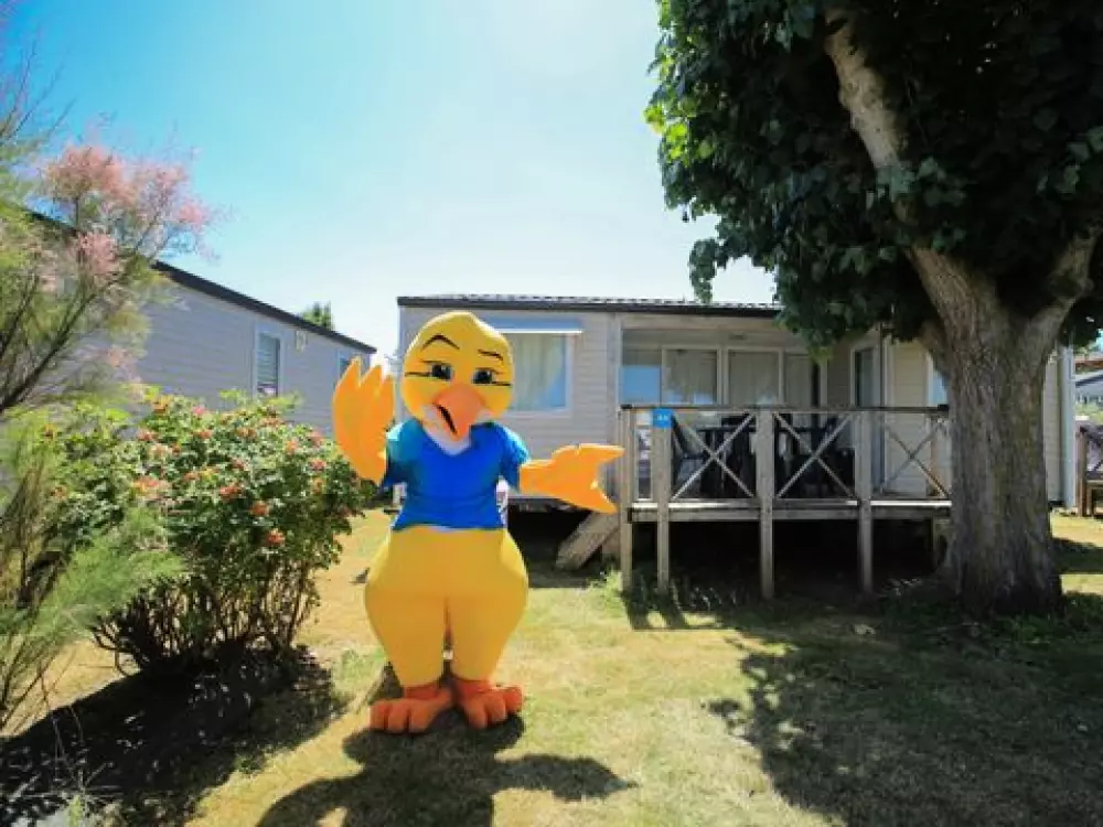Camping Paradis - Le Grand R  4 étoiles★★★★