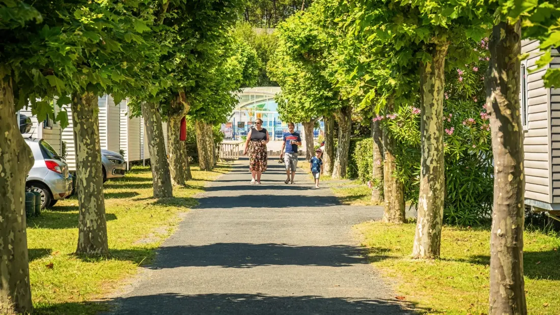 Camping Les Flots Bleus 4 étoiles★★★★