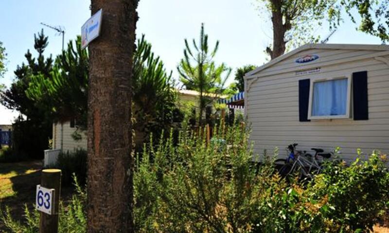 Camping Le Pavillon Bleu *** - - La Faute Sur Mer - 18