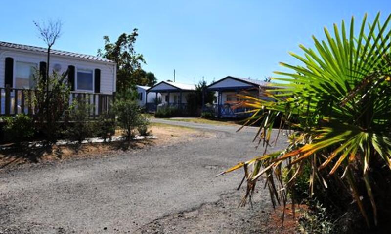 Camping Le Pavillon Bleu *** - - La Faute Sur Mer - 16