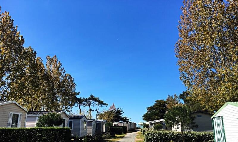 Camping LES VIOLETTES **** - La Faute Sur Mer - 6