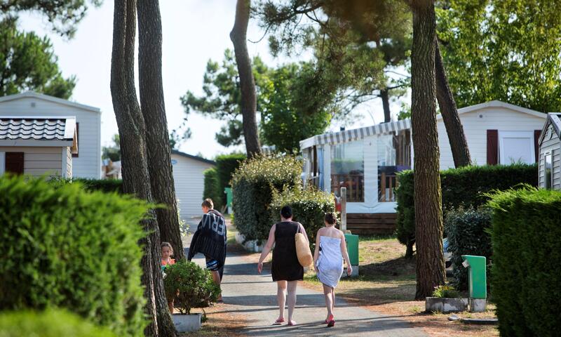 Camping LES VIOLETTES **** - La Faute Sur Mer - 2