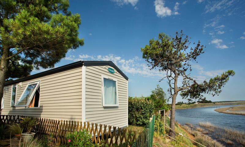Camping LES VIOLETTES **** - La Faute Sur Mer - 5