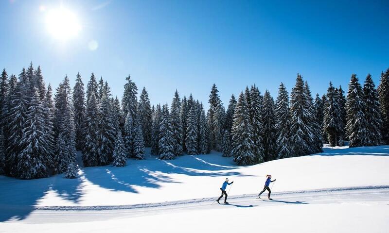 Superbe Appartement Au Pied Des Pistes - Le Chamois*** - - La Feclaz Les Deserts - 19