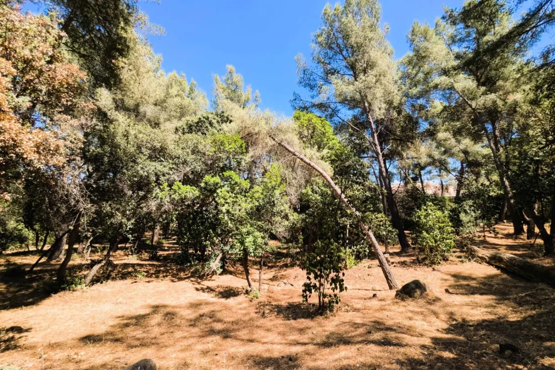 Maison Avec Grand Parc Privé De 4000 M²