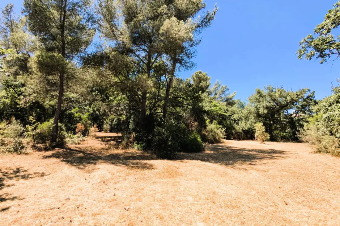 Maison Avec Grand Parc Privé De 4000 M²