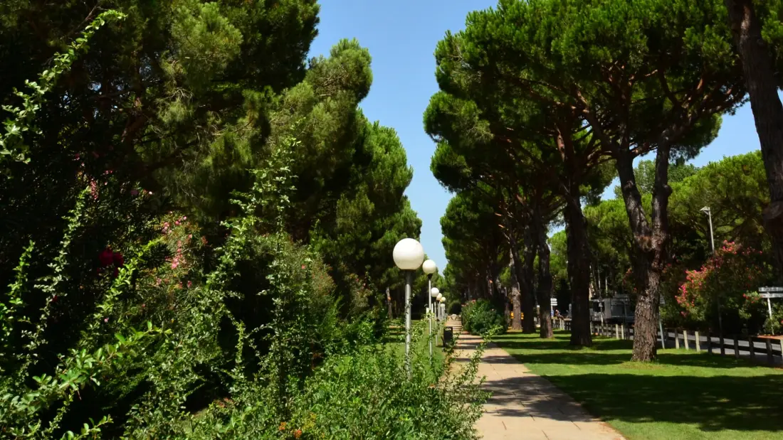 Camping Maïana Resort 4 étoiles★★★★