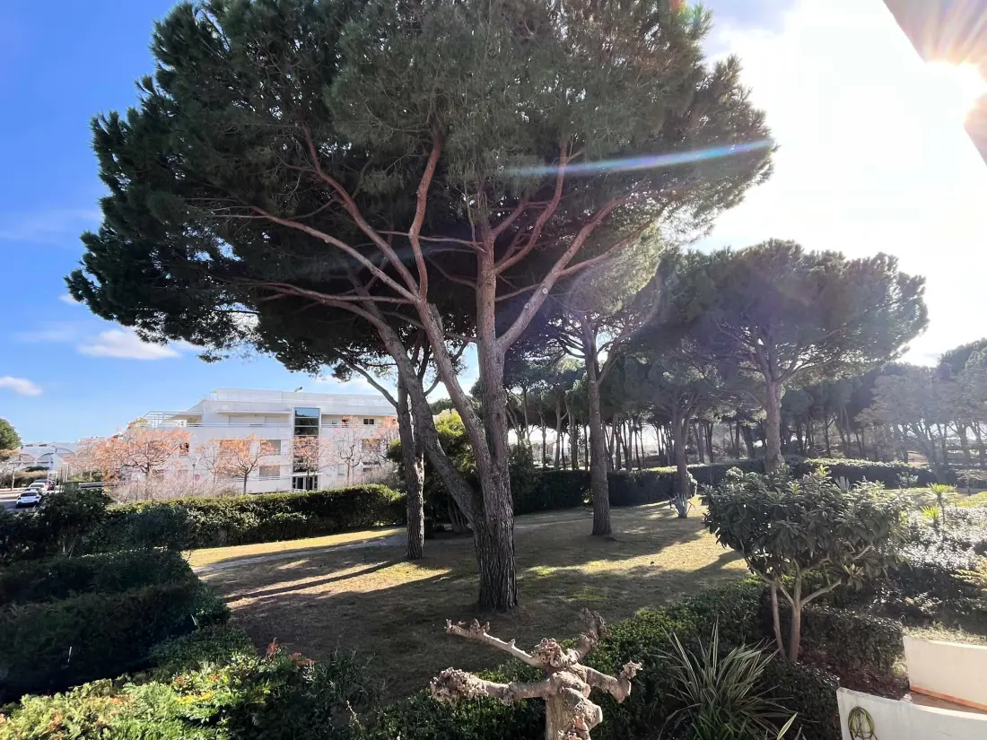 Location de Vacances La Grande-Motte 241