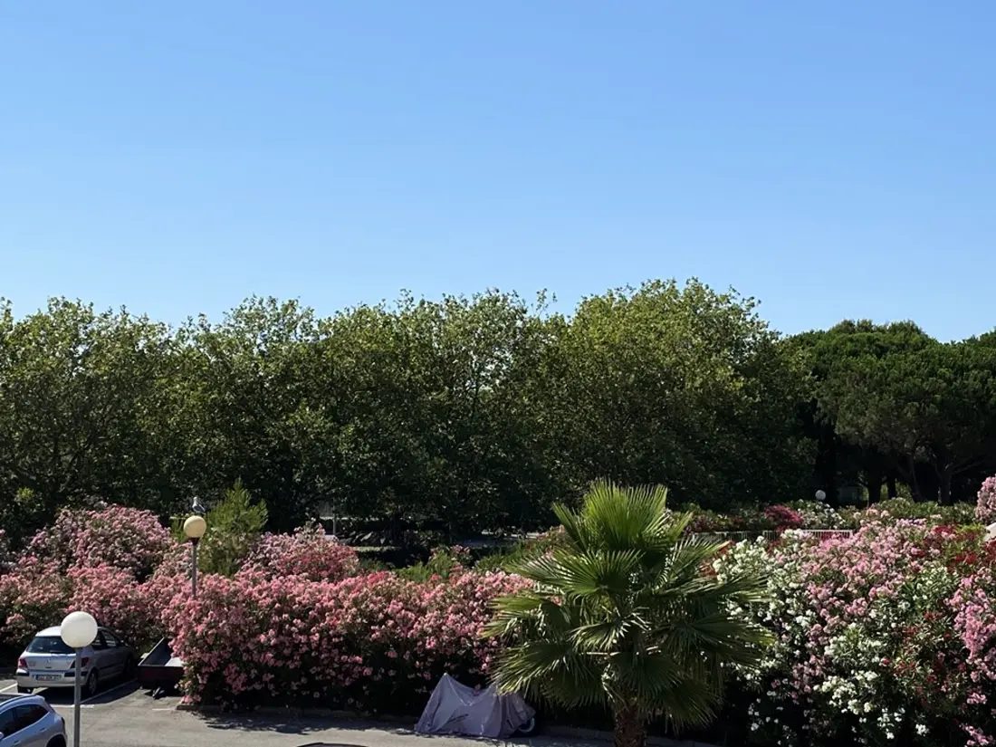 Location de Vacances La Grande-Motte 383