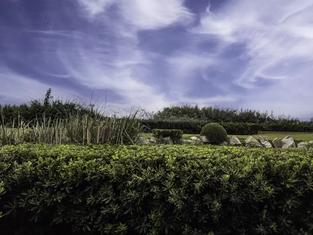Résidence Les Terrasses de la Mer