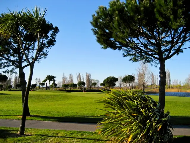 Port Vincent