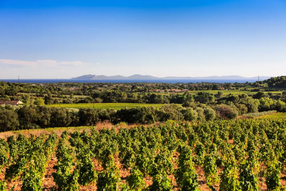 Résidence Mas De La  Chesnaie