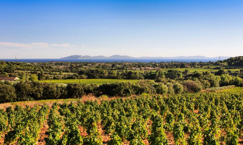 Résidence Villa Verde - - La Londe-les-Maures - 39