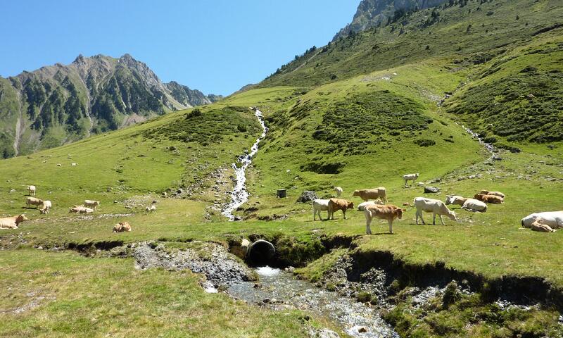 France - Pyrénées - Bagnères de Bigorre - La Mongie - Résidence Mer & Golf Tourmalet 3*