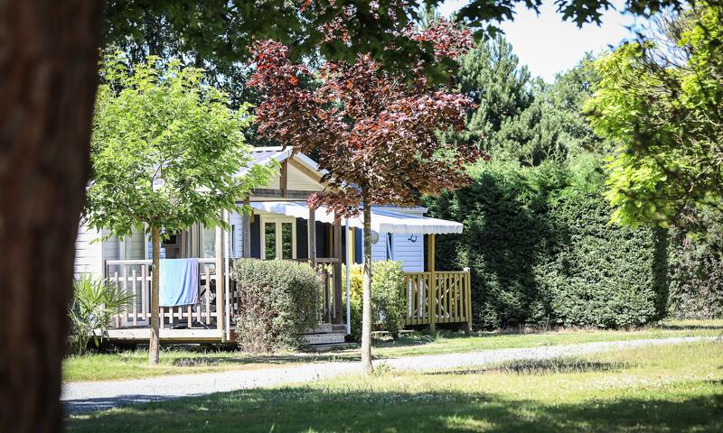 Flower Camping Le Pavillon *** - La Mothe Achard - 5