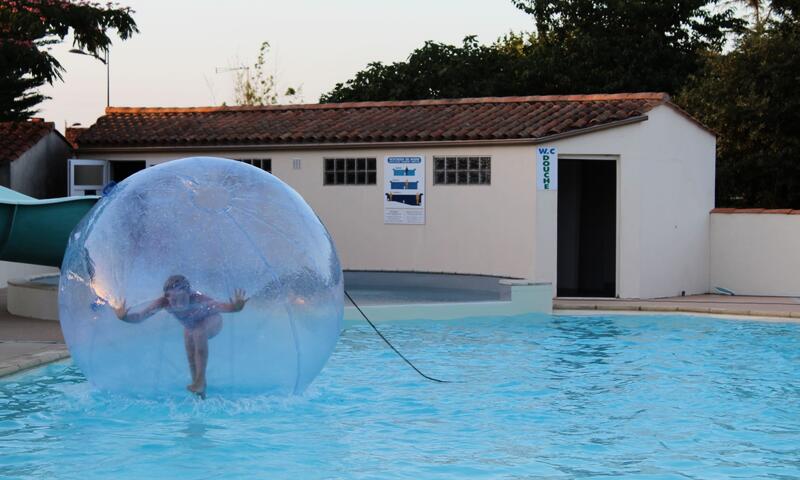 Flower Camping Le Pavillon *** - La Mothe Achard - 11