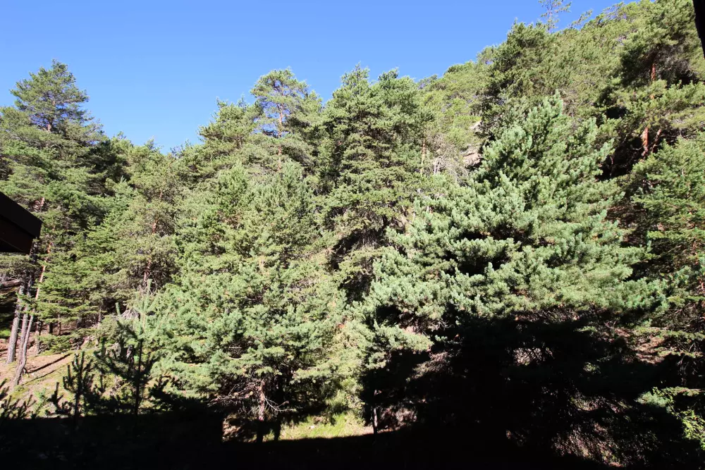 Résidence Les Avenieres